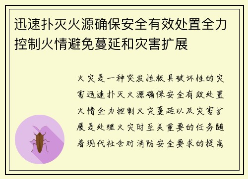 迅速扑灭火源确保安全有效处置全力控制火情避免蔓延和灾害扩展